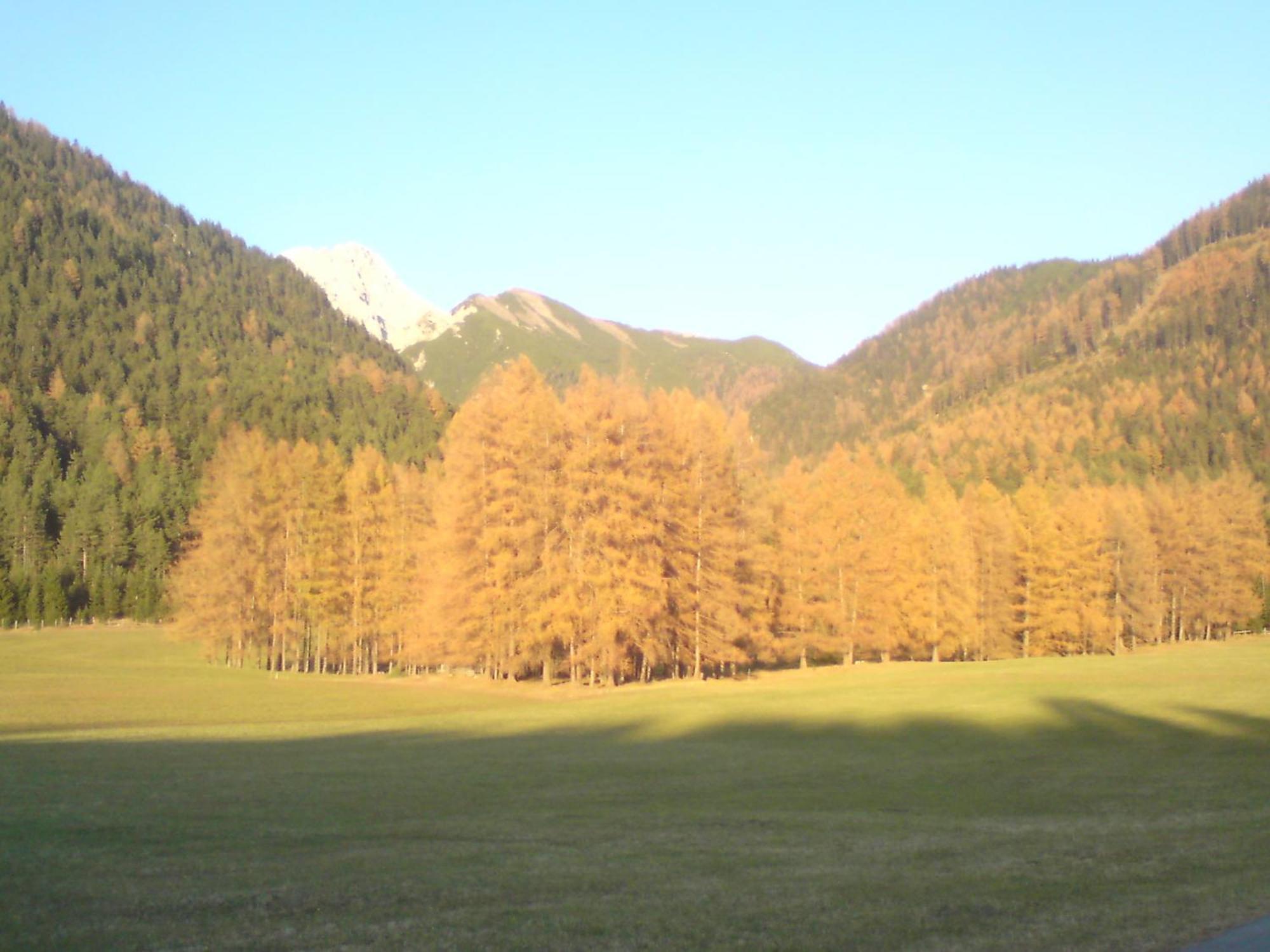Gaestehaus Fitsch Obsteig Bagian luar foto